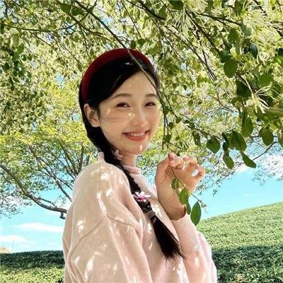功夫梦